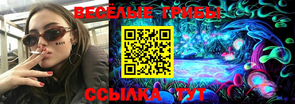 Озёрск  Галлюциногенные грибы Psilocybe  хочу   Псилоцибиновые грибы Psilocybine cubensis  Вход с VPN 
